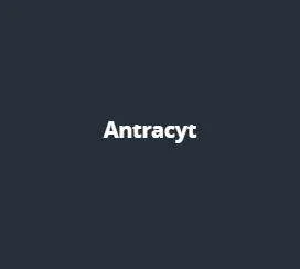 Antracyt
